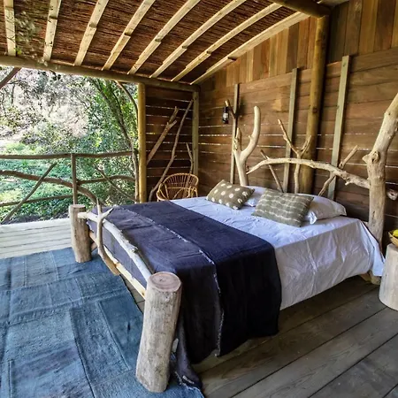 Luxueuse Bastide Ecolo Au Cap Lardier * Ramatuelle