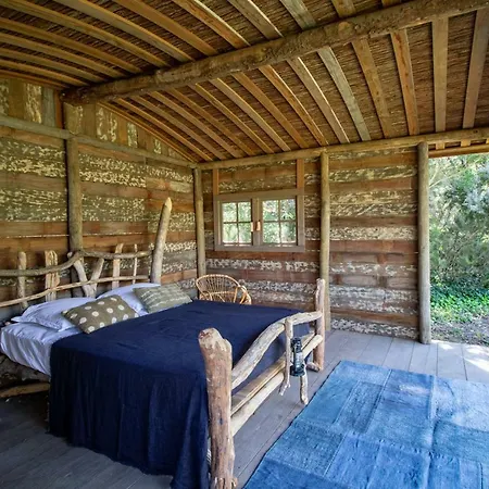 Luxueuse Bastide Ecolo Au Cap Lardier * Ramatuelle